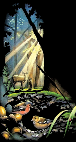 Raven Memorials Ltd Inverness Highlands