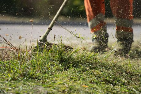 Professional weekly lawn mowing and edging service in Dover Delaware