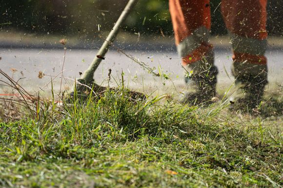 Professional weekly lawn mowing and edging service in Dover Delaware