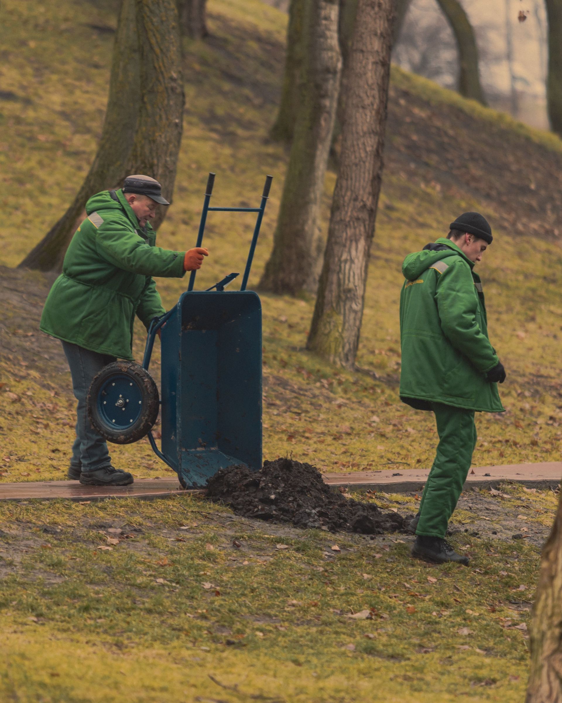 Comprehensive Lawn Care Services