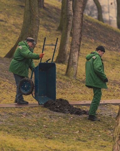 Comprehensive Lawn Care Services