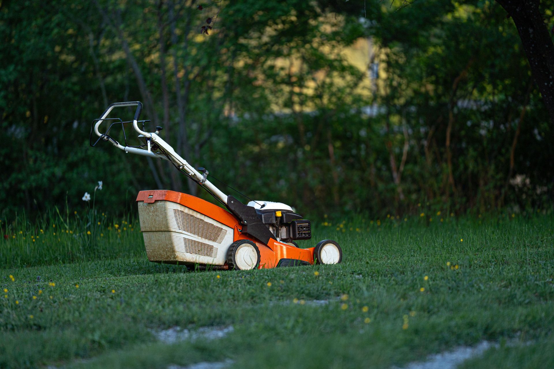 Core aeration and overseeding services for healthier Dover DE lawns