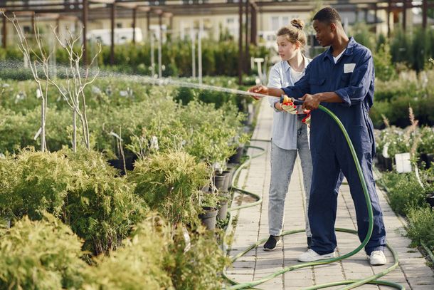 Even More services for Yard Care