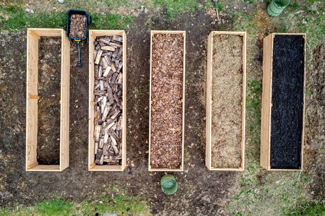 Mulching and seasonal leaf removal for Dover Delaware properties