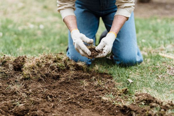 Lawn Restoration After Renovation
