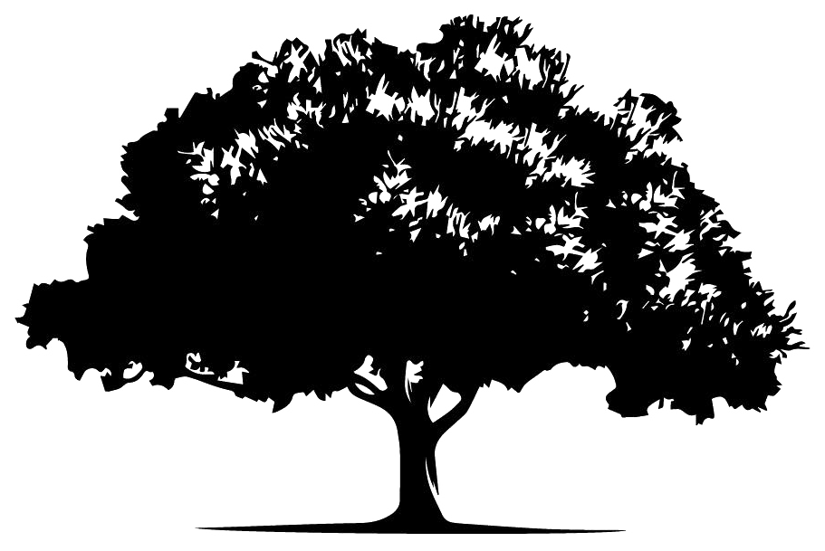 A white tree with a lot of leaves on a white background.