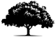 A white tree with a lot of leaves on a white background.