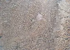 Close-up of a rough, speckled sandy or rocky ground surface in gray and beige tones