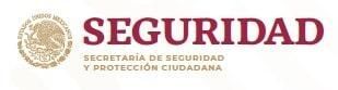 SEGURIDAD