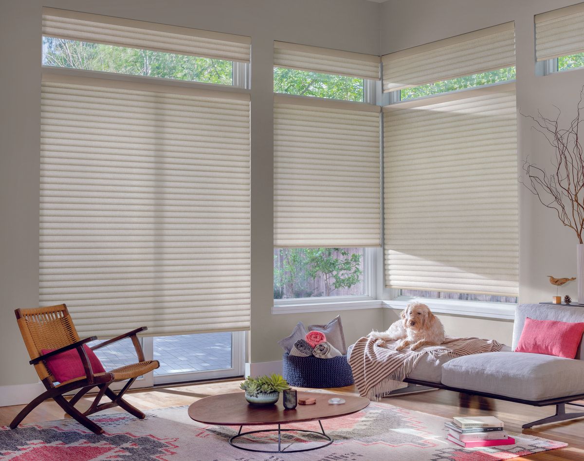 Cortinas de Rodillos Para Tu Casa Cerca De Los Cayos de Florida (FL) Por Privacidad