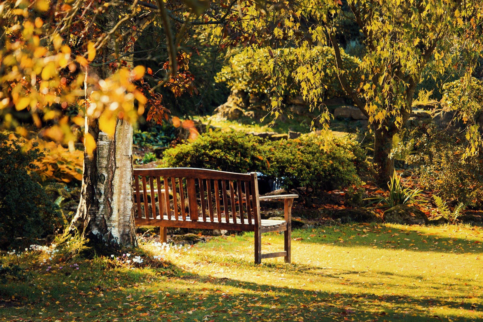 A wooden bench is sitting in the middle of a park.