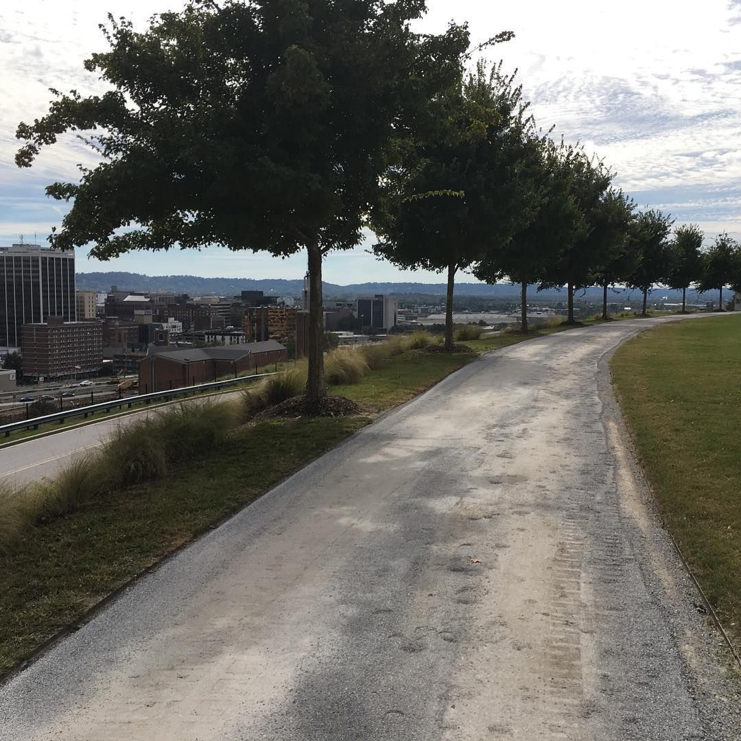 A road with trees on the side and a city in the background