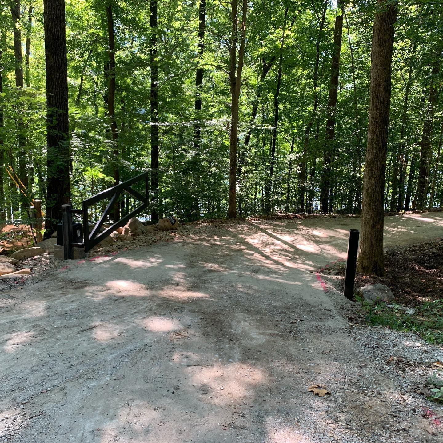 A dirt road in the middle of a forest with trees on both sides.