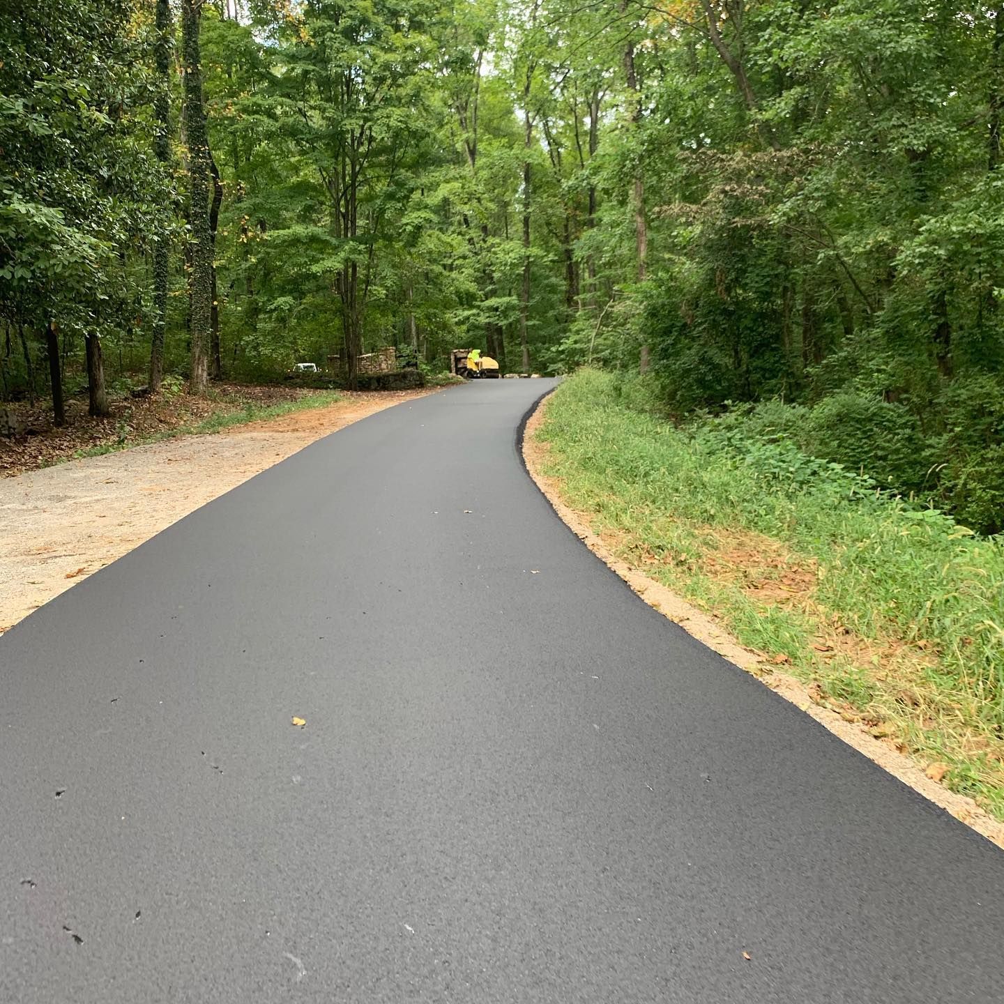 A curvy road going through a forest with trees on both sides.