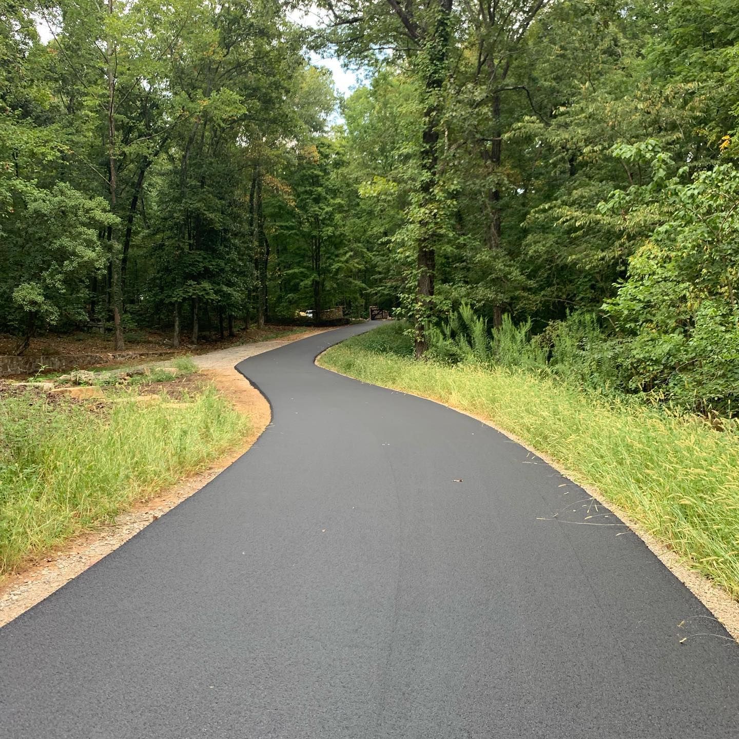 A curvy road going through a forest with trees on both sides.