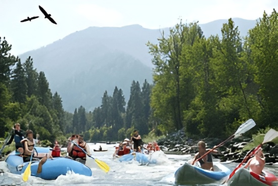A group of people are rafting down a river.