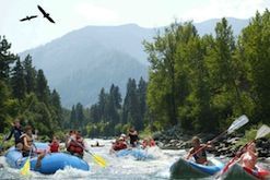 A group of people are rafting down a river.