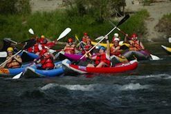 A group of people are rowing kayaks down a river.