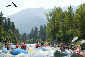 A group of people are rafting down a river.