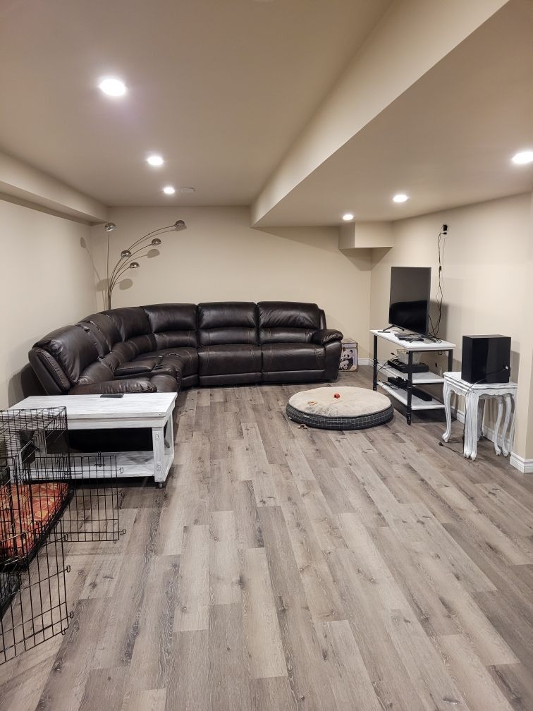 Basement living room with dark sectional sofa, gray wood floor, TV stand, and round pet bed