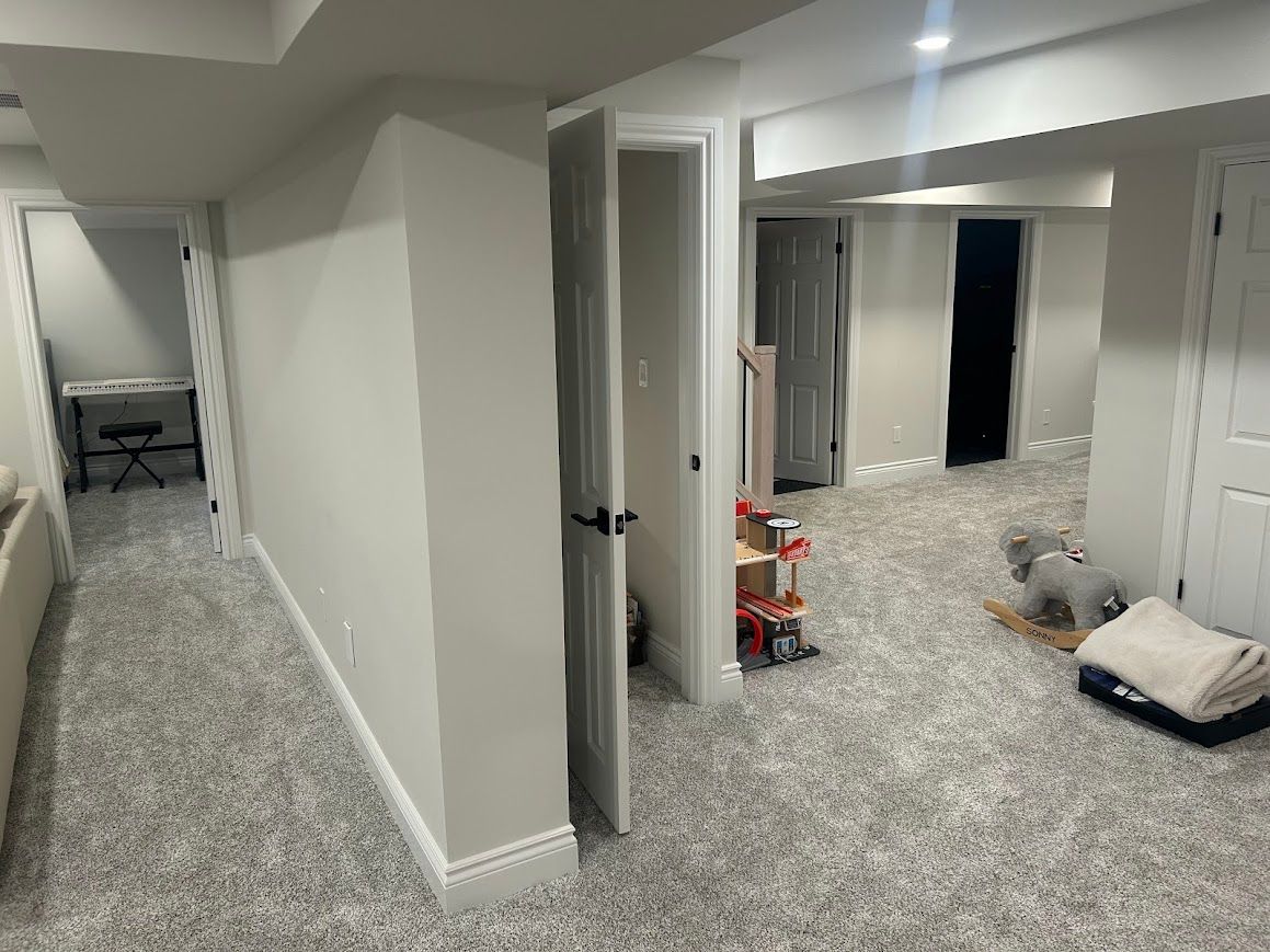 Basement hallway with carpet, doors, and a small toy shelf.