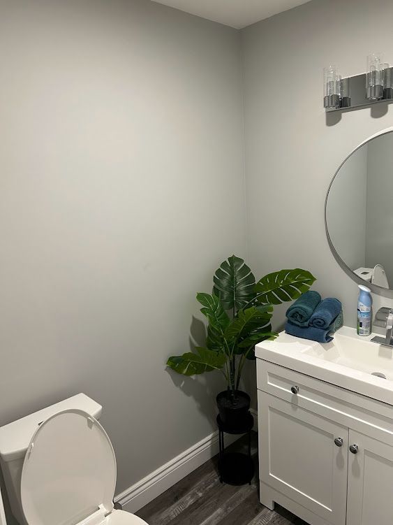 Small bathroom with white vanity, round mirror, gray walls, and a potted plant.