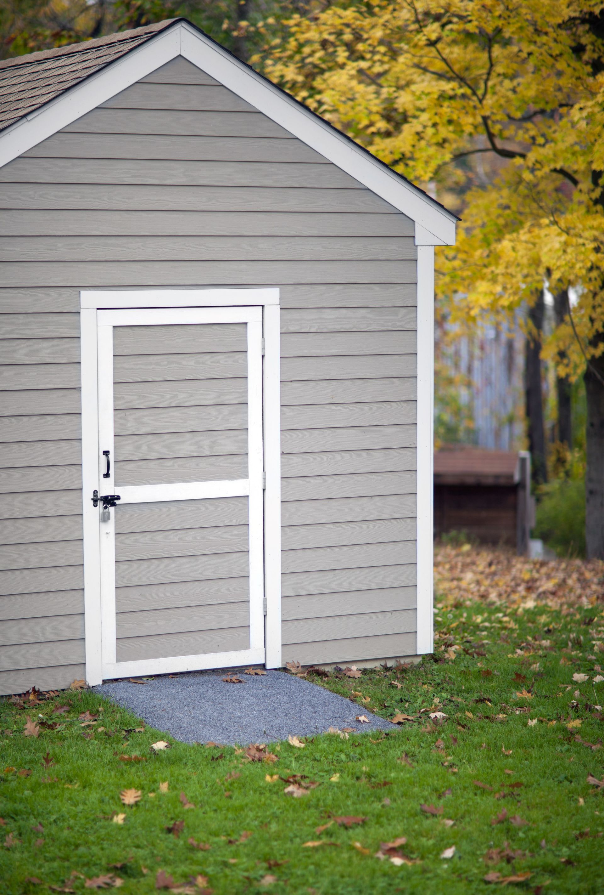 Backyard Shed