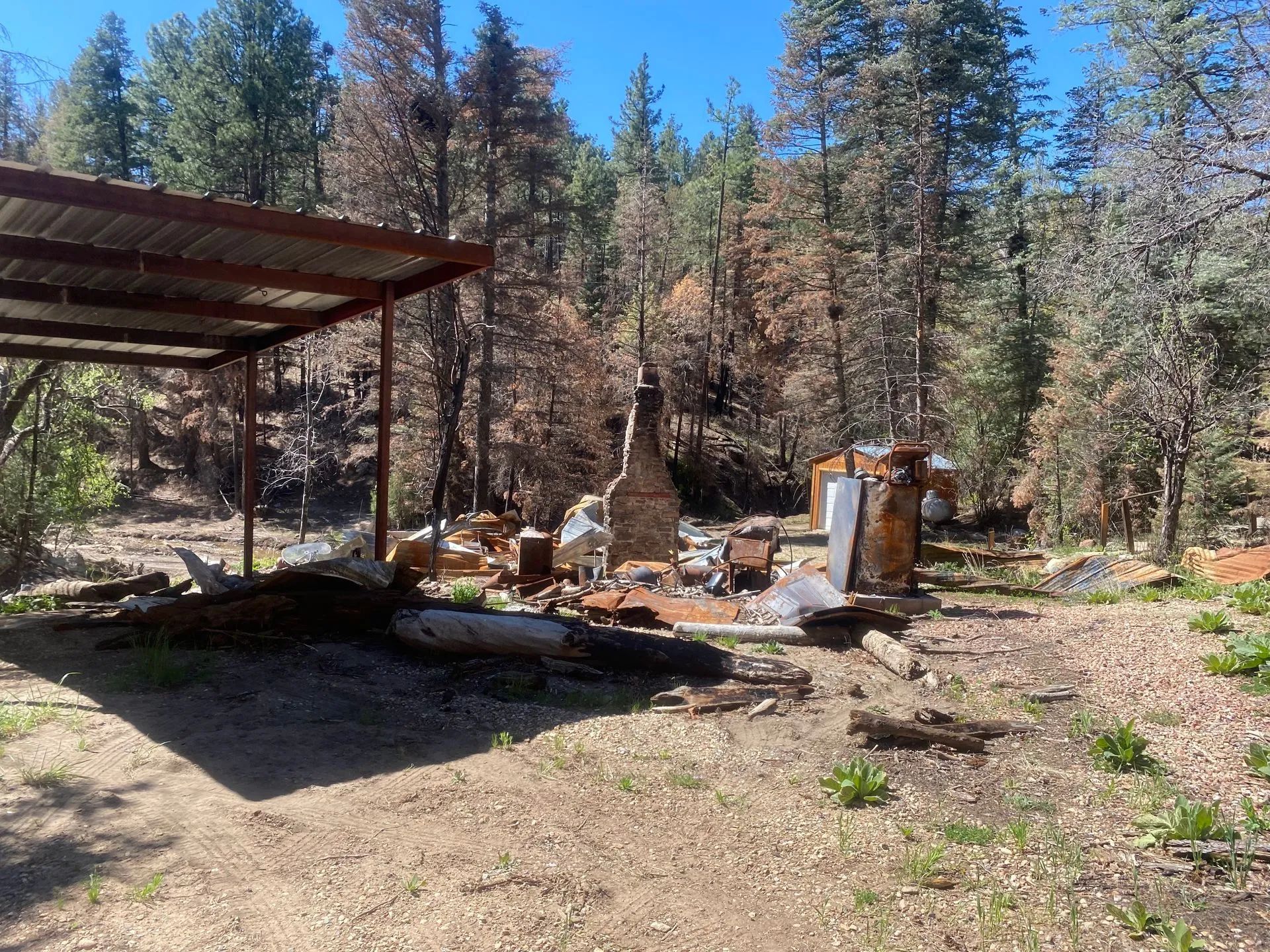 Wooded campsite with a metal shelter, fire pit, logs, and a rusty stove amid dry trees.