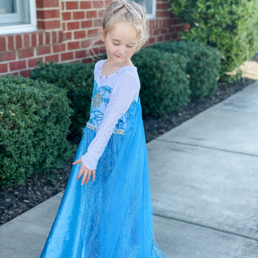 Elsa themed party, Frozen birthday party, birthday decorations, cake, balloons, gift bags, ideas