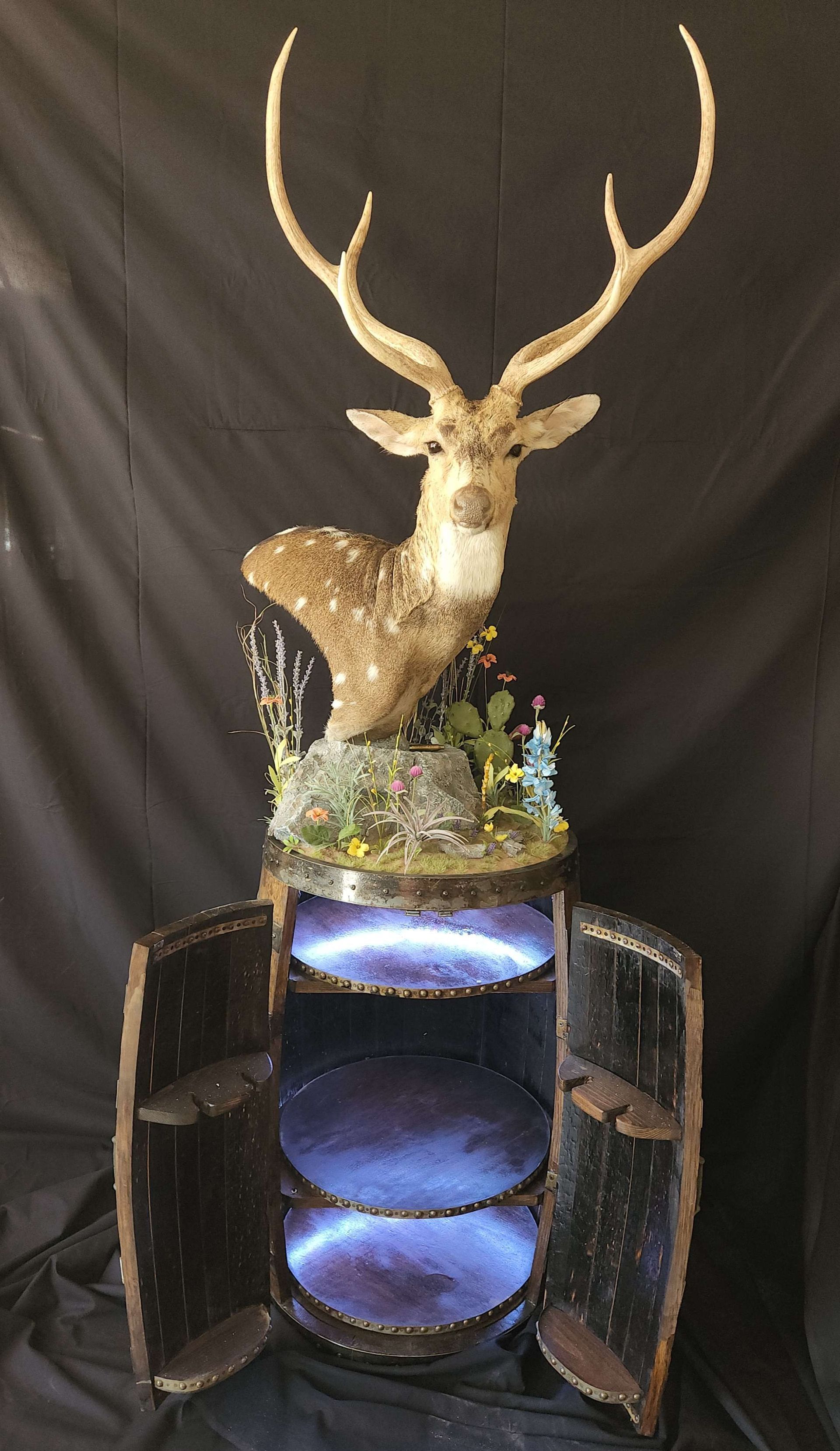 Deer head mount on a cabinet with open doors, blue light glows inside.