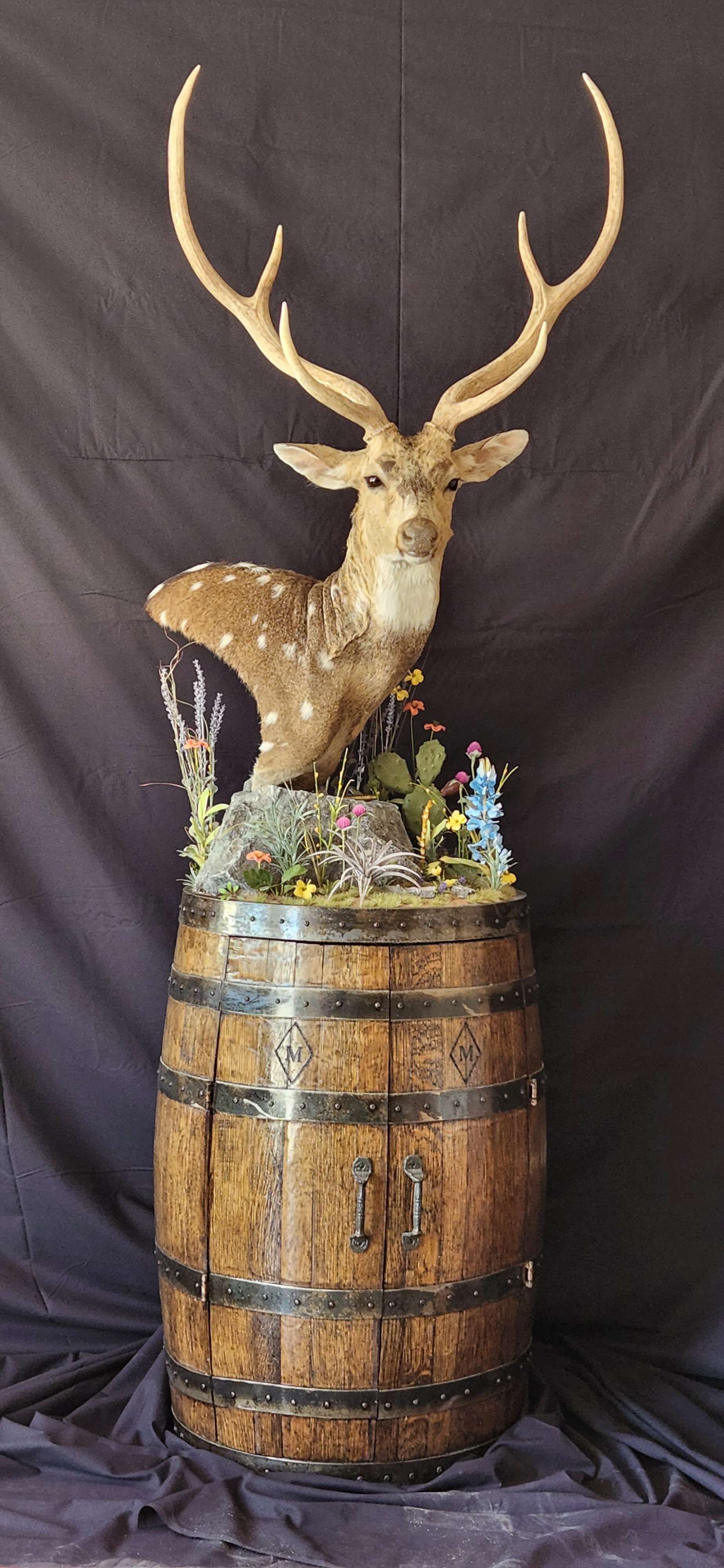 Spotted deer head mount on a barrel base, with floral embellishments. Dark background.
