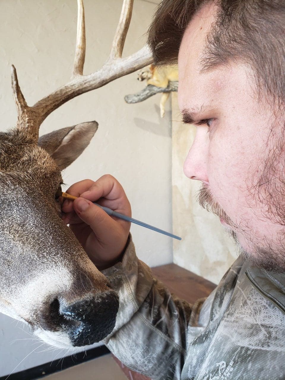 Man paints eye of a deer head taxidermy piece, close-up. He wears camouflage shirt. Indoors, neutral background.