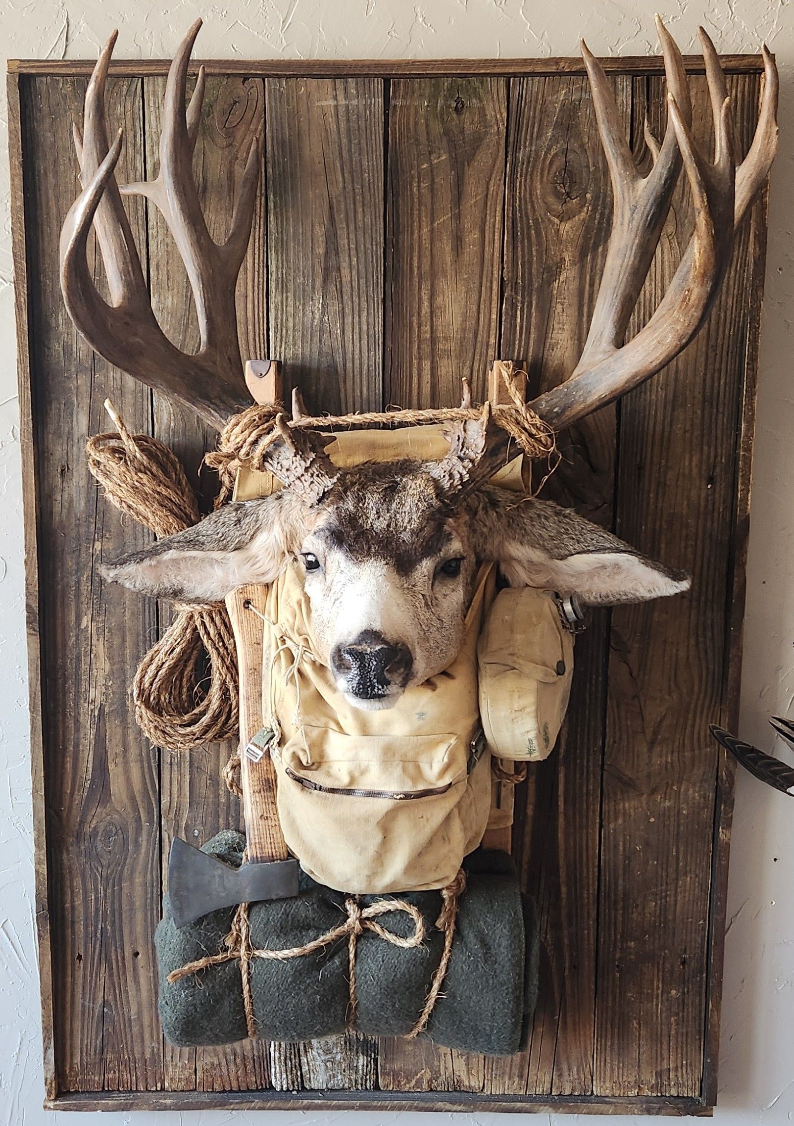 Deer head taxidermy mount with backpack on weathered wood.