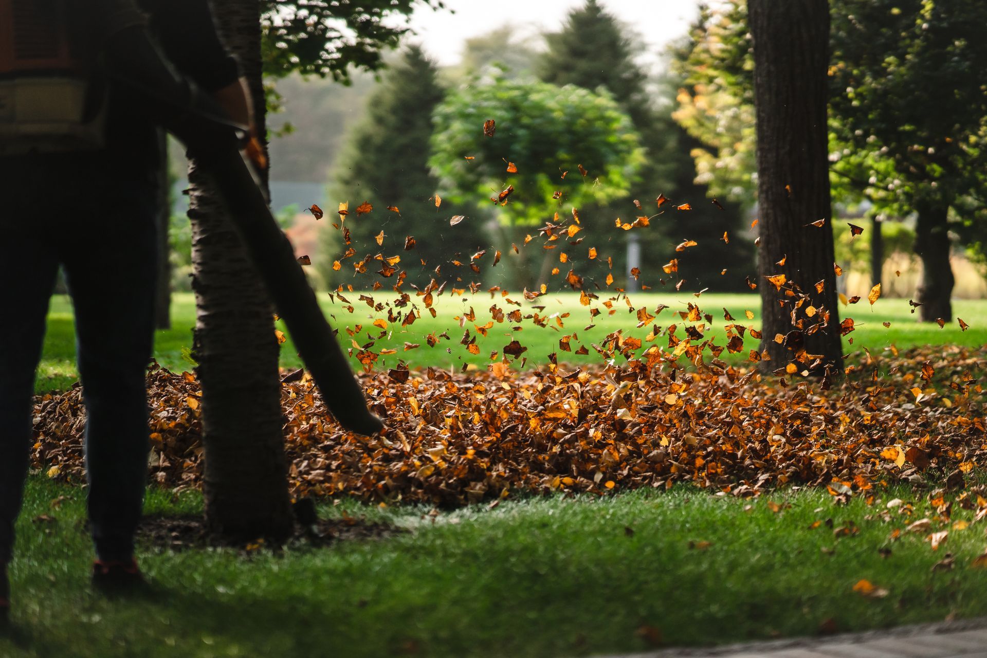 Columbia City leaf removal project
