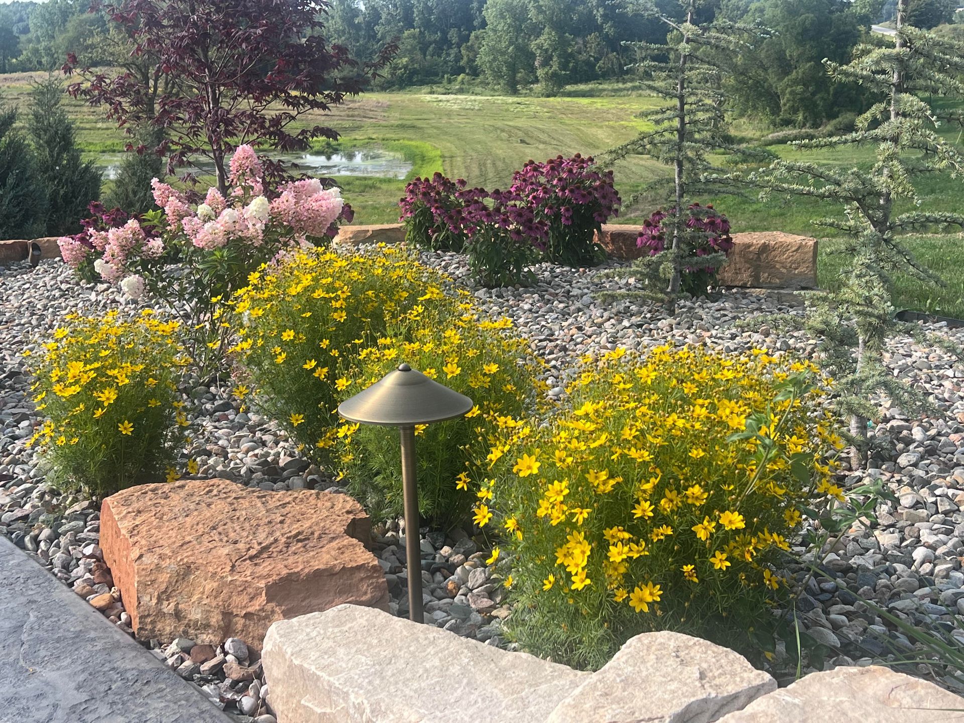 Landscape boulders, coreopsis, lighting, and river rock. 