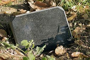 A black stone block is laying on the ground surrounded by leaves.