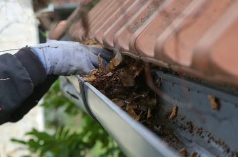 Pressure Pros Soft Washing LLC | person is cleaning a gutter from leaves on a roof.