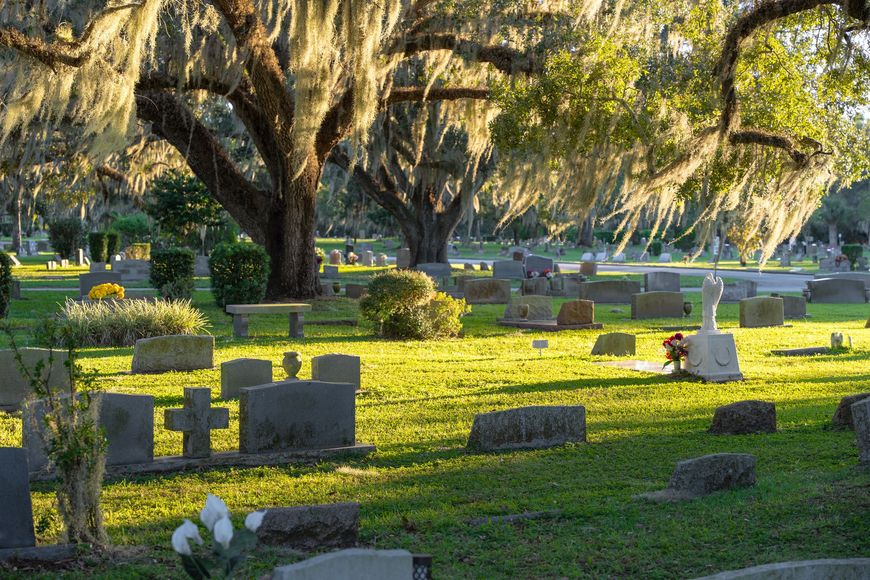 Cemetery with headstones and Spanish moss-draped trees, bathed in warm sunlight.