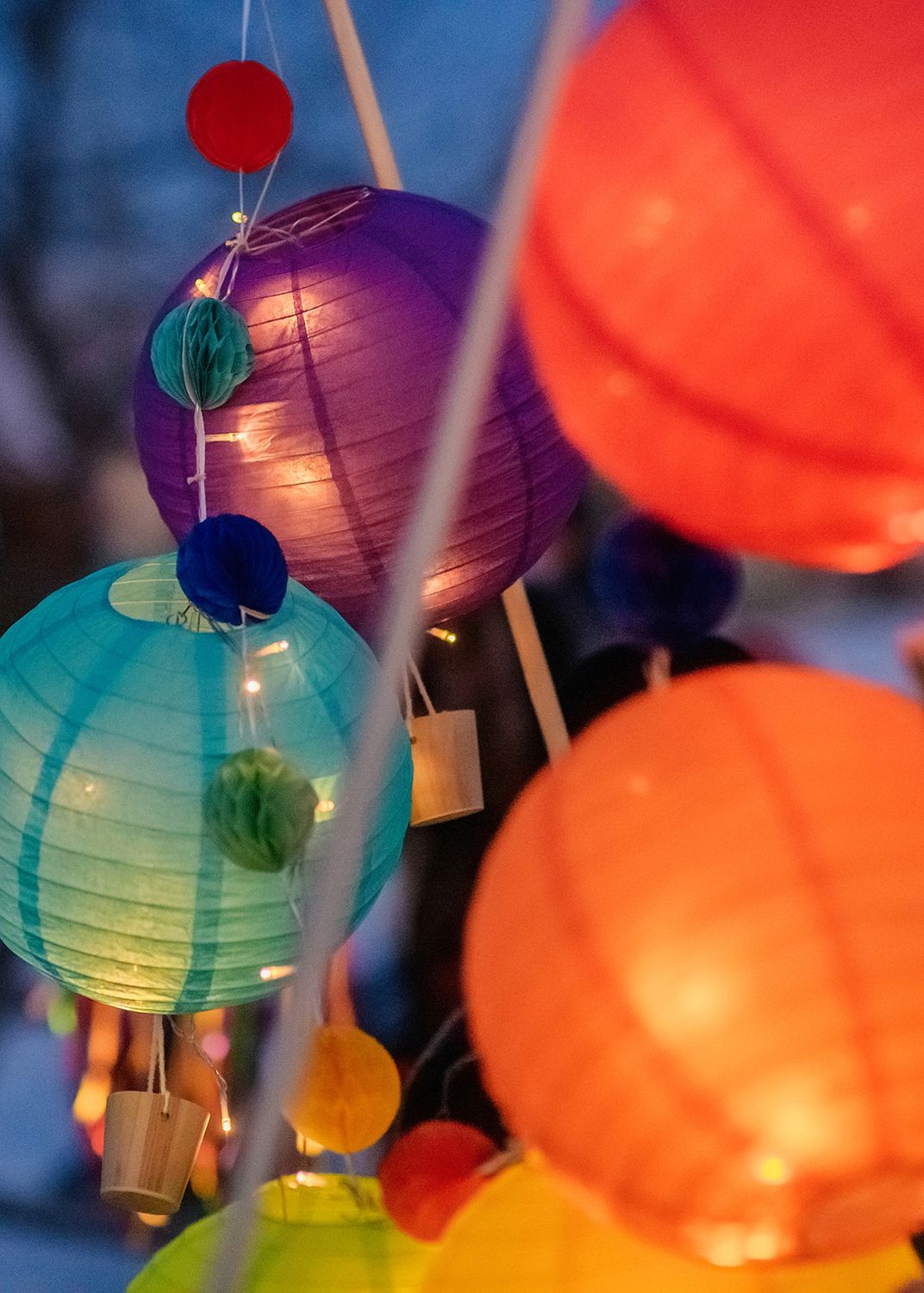 Winter Bloom Lantern Parade 2024