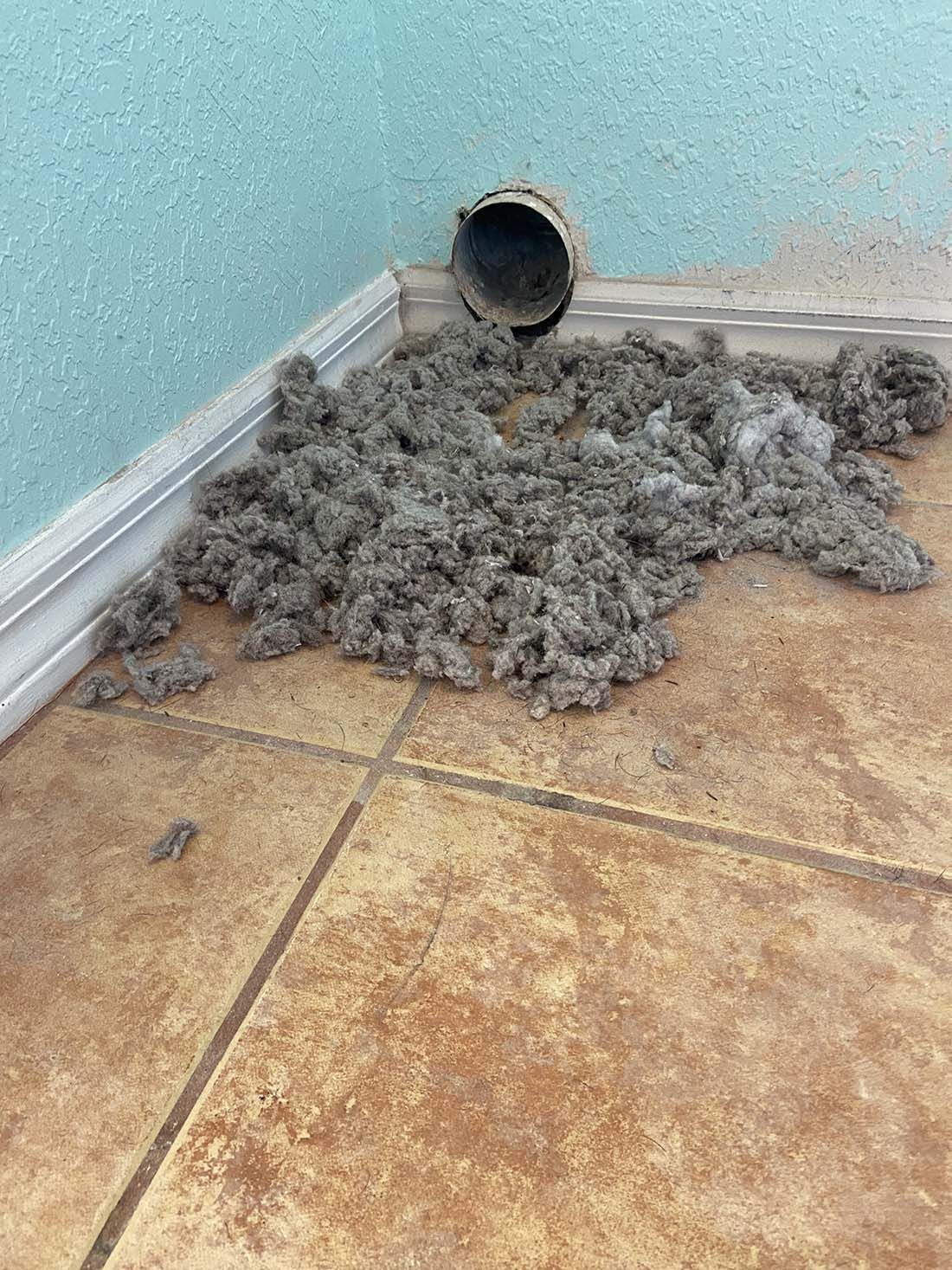 Dryer Vent Cleaning & Repairs‎ in Cape Coral Fl - Call Us Now Flat Rate ...