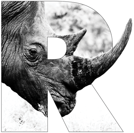r is for rhino