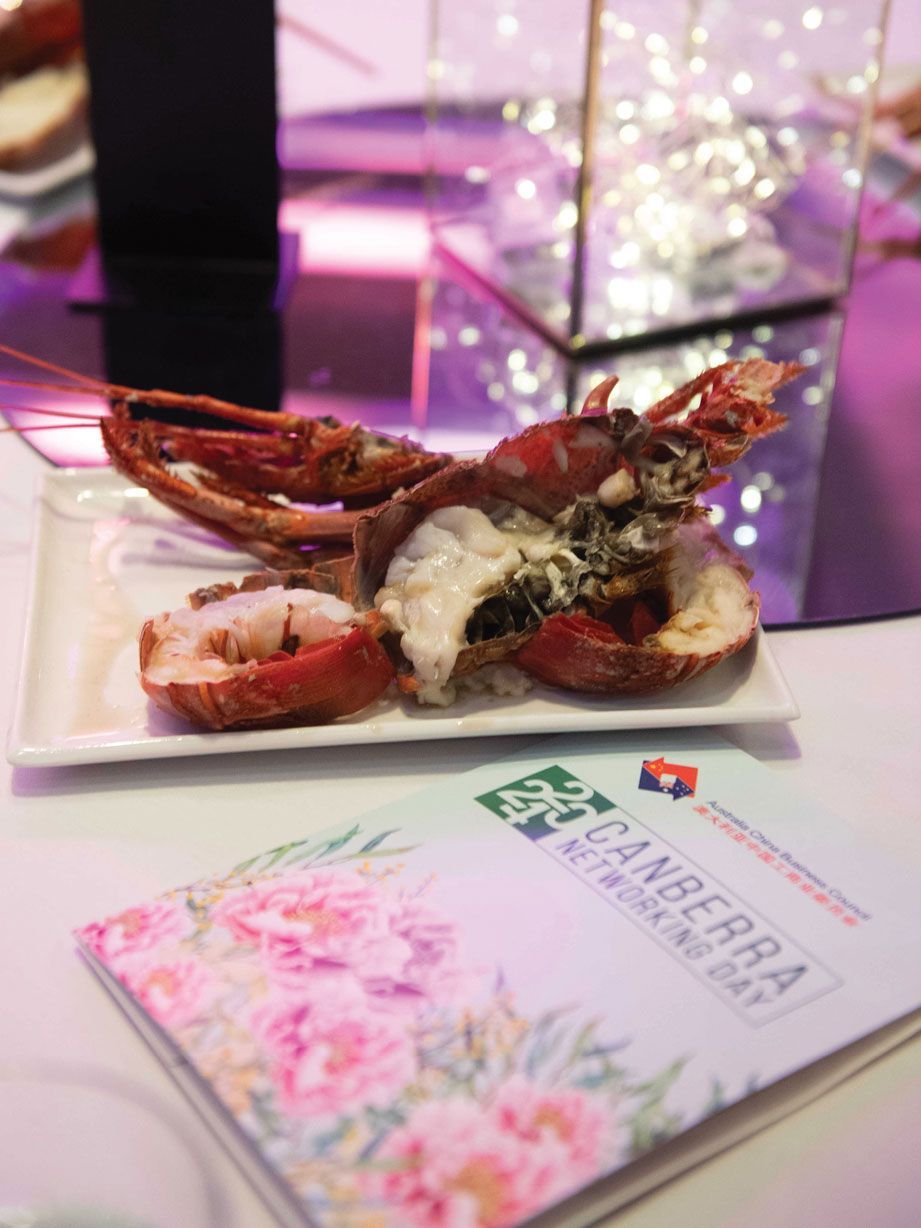 business council event branding design Canberra theme design menu a5 booklet