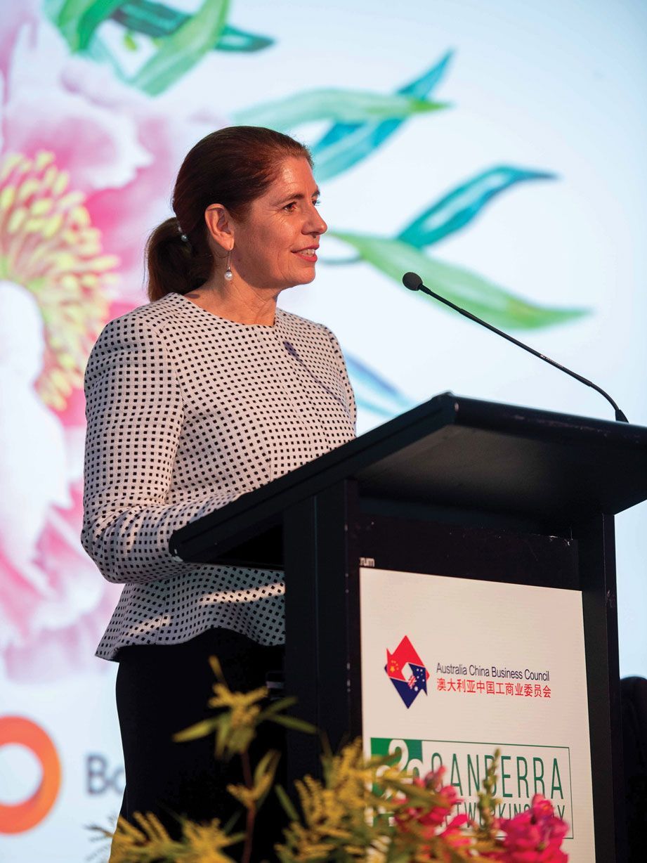 business council event branding design Canberra theme design powerpoint template design