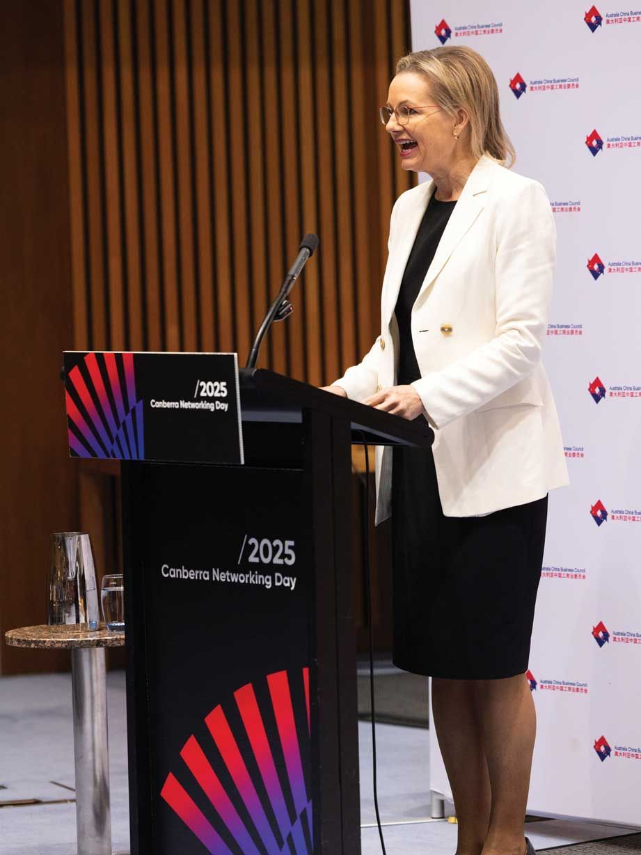 event branding design, graphic design,  Canberra networking event acbc, lectern