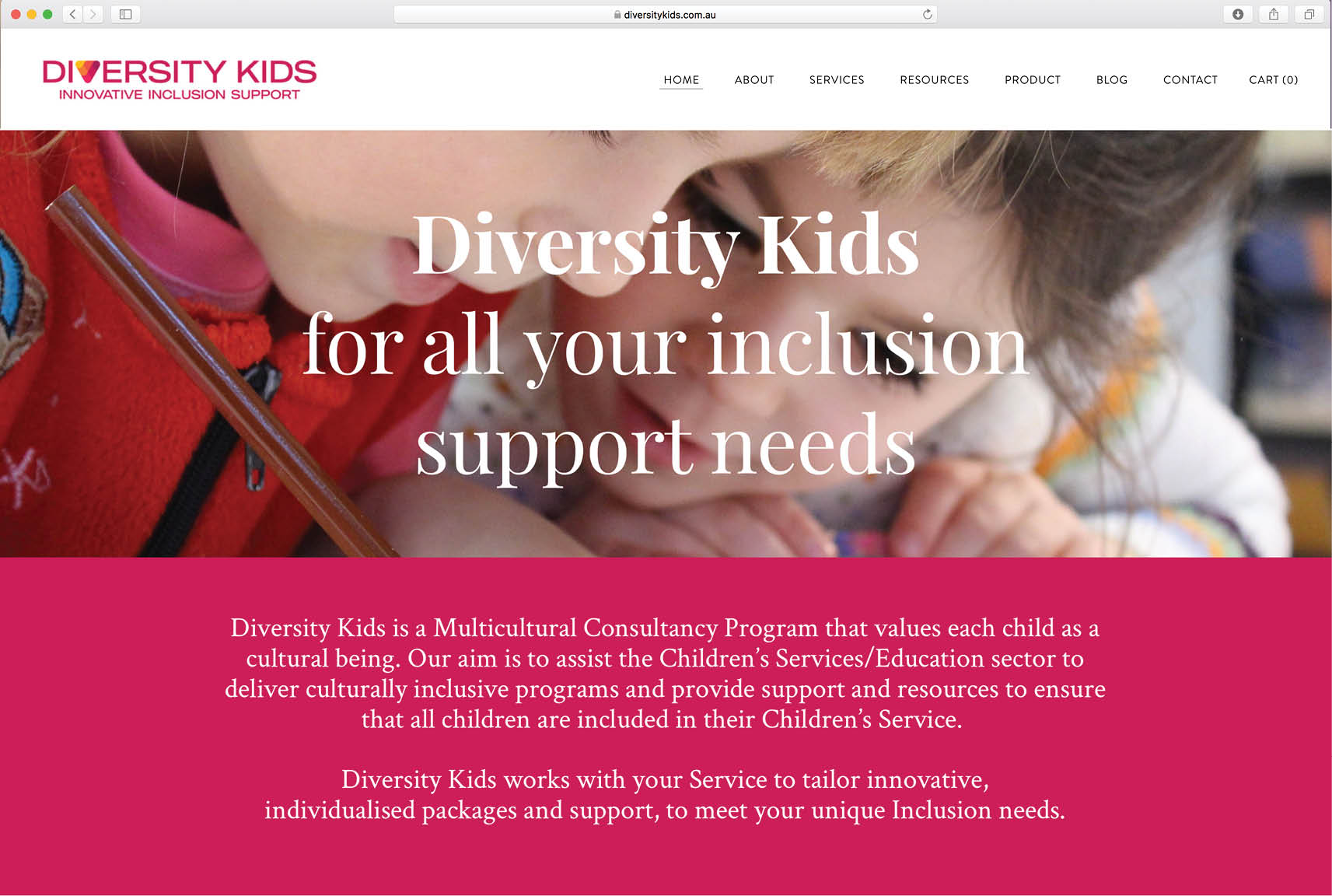diversity kids, custom logo design, Sydney graphic design business, Sydney small business, website example, website design