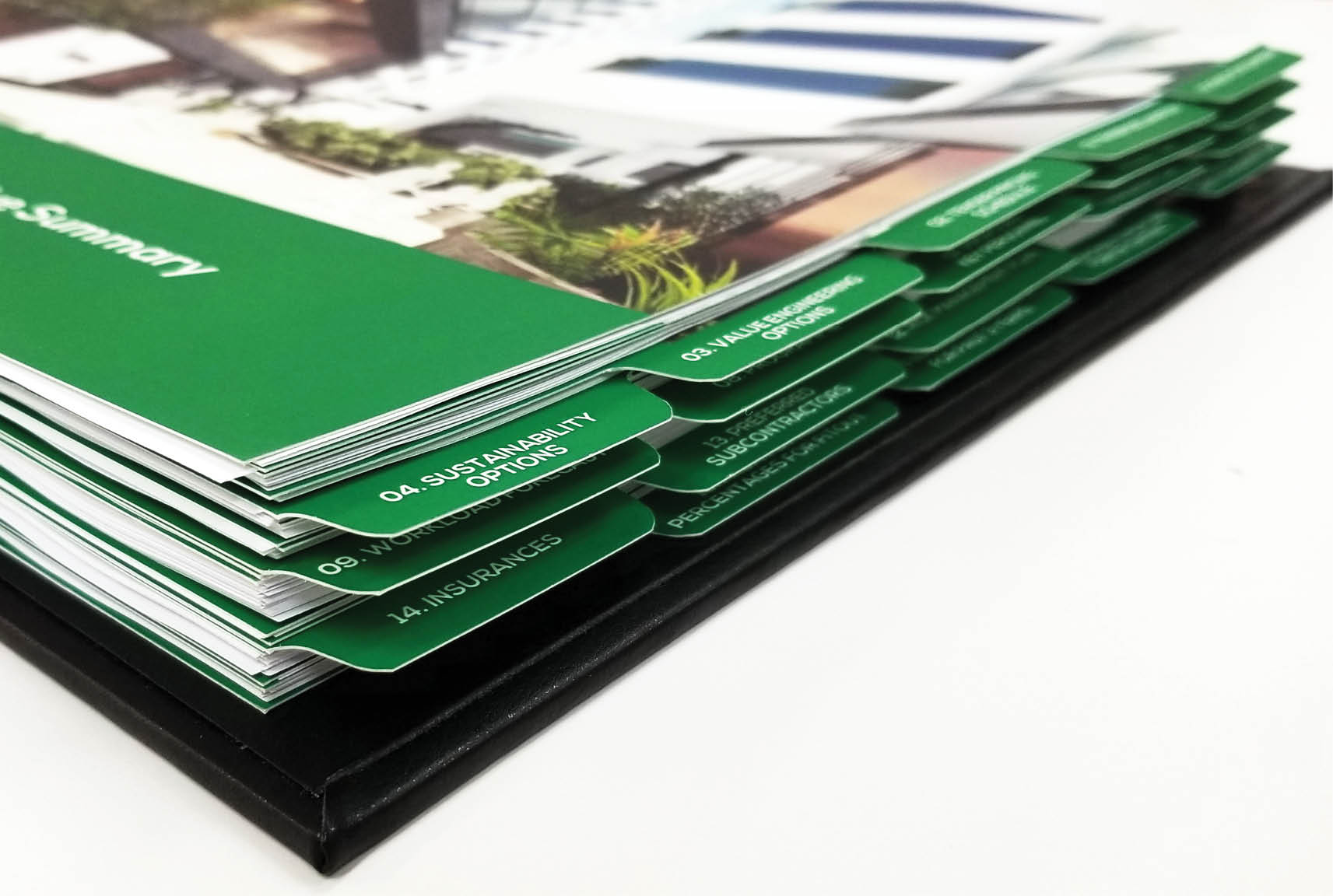 Sydney graphic design business, Sydney graphic design, a3 document design, tender design, tender writing, landscape document