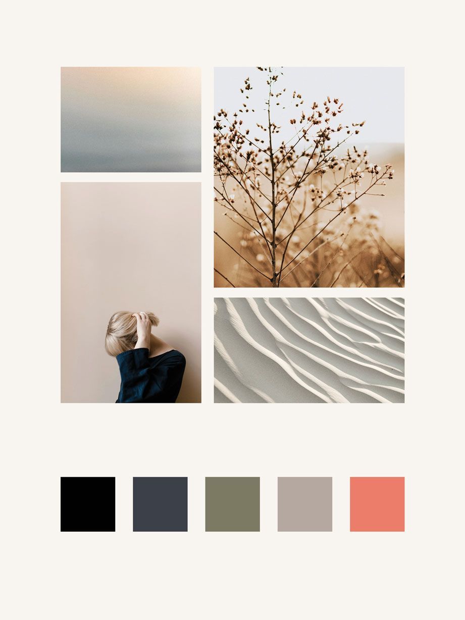 branding identity overview colour tone and style guide