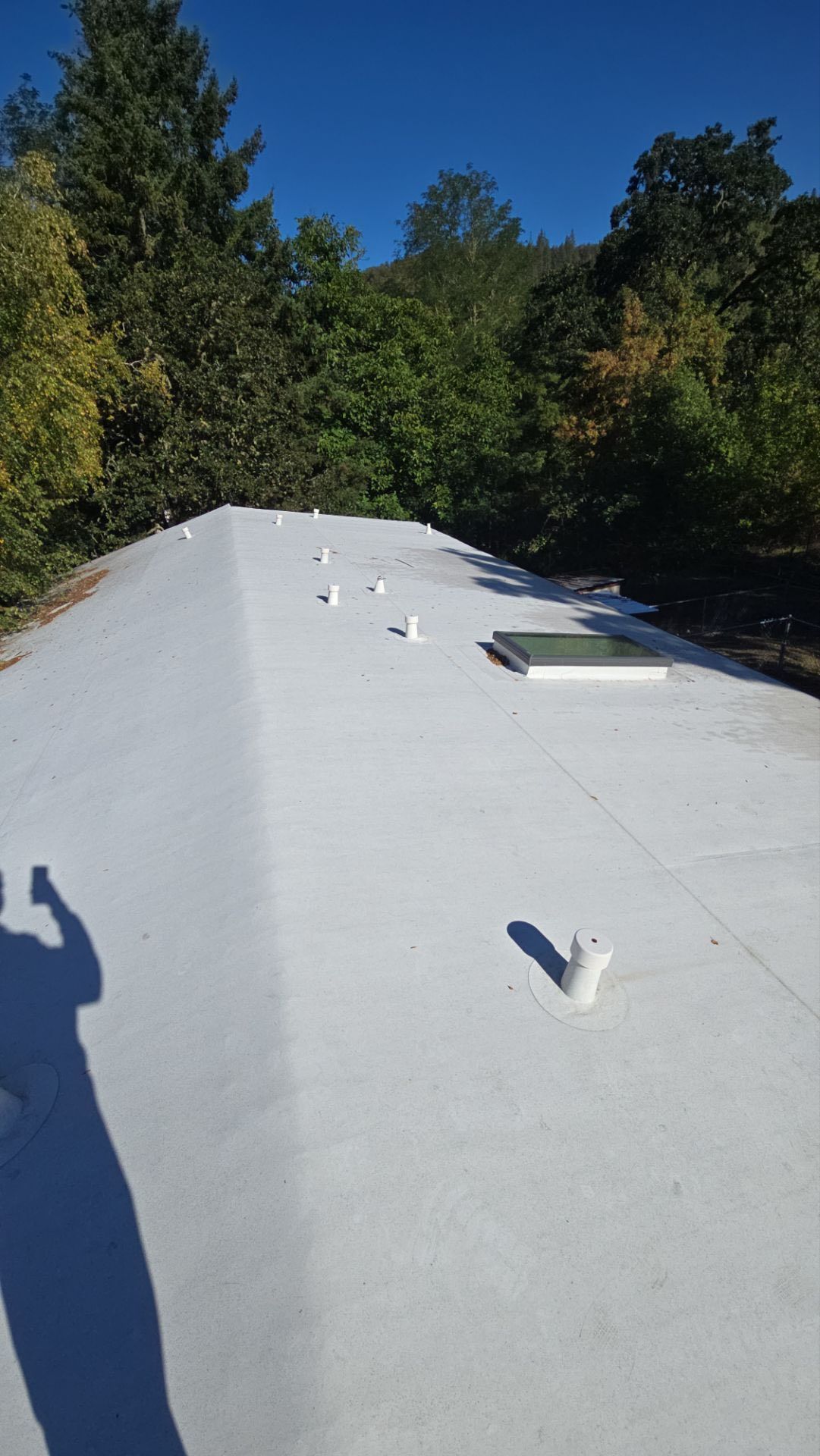 White flat roof with vents and skylight against a backdrop of trees under a blue sky.