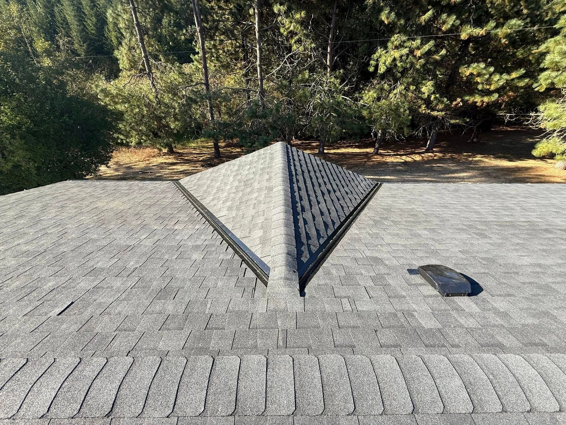 View of a gray shingled roof with a dark apex and trees in the background.