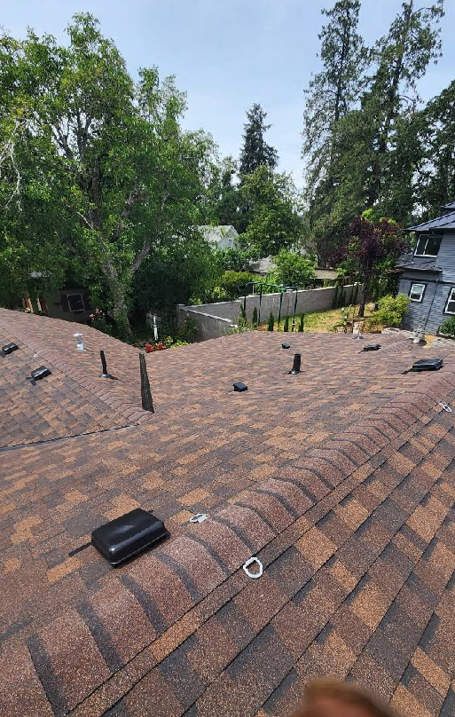 Brown shingled roof with various vents and mounting hardware against a backdrop of trees and a sunny sky.